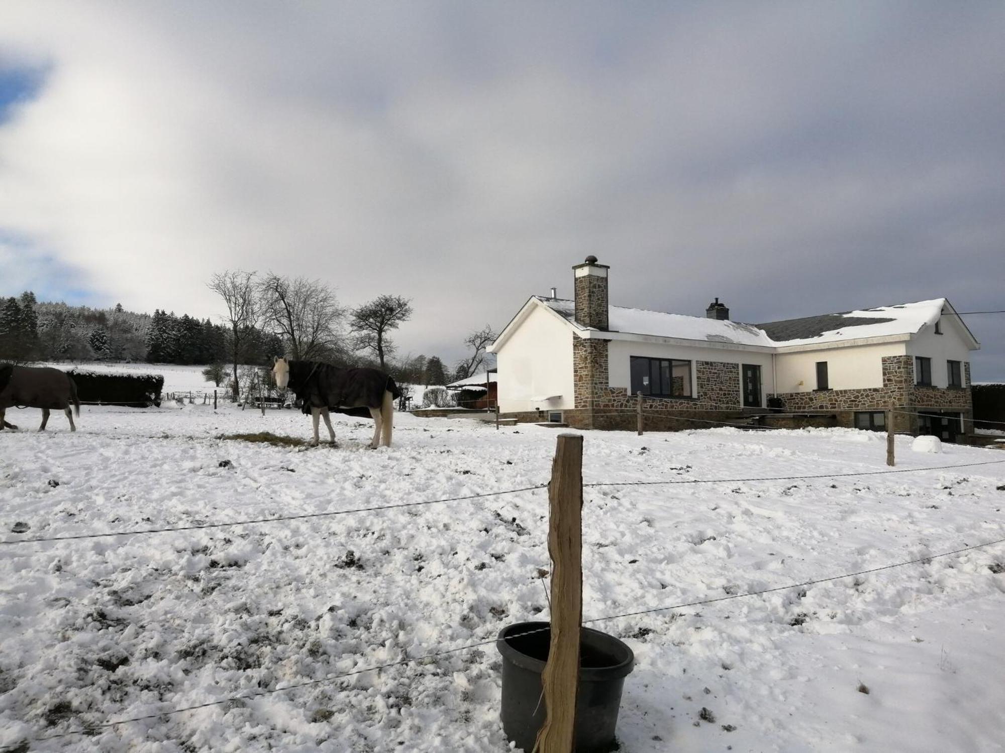 Sophisticated Holiday Home In Lierneux Near Forest ภายนอก รูปภาพ