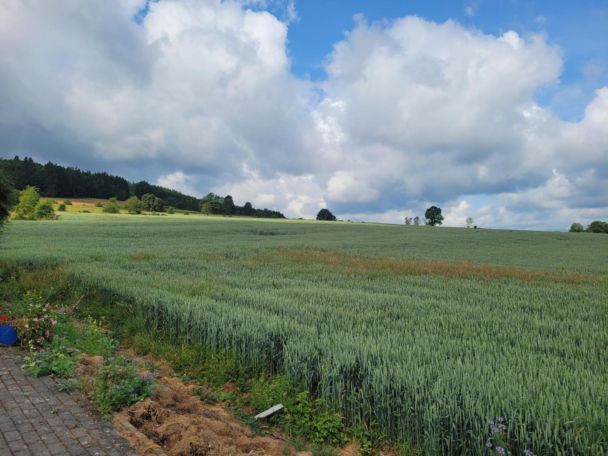 Sophisticated Holiday Home In Lierneux Near Forest ภายนอก รูปภาพ